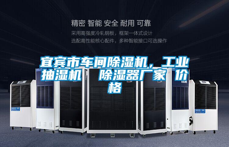 宜賓市車間除濕機，工業抽濕機  除濕器廠家 價格