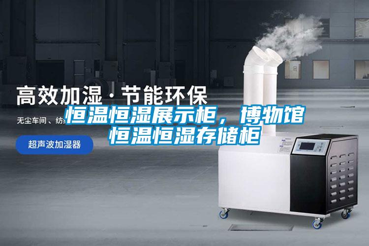 恒溫恒濕展示柜，博物館恒溫恒濕存儲柜