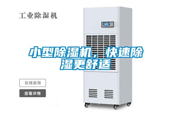 小型除濕機，快速除濕更舒適