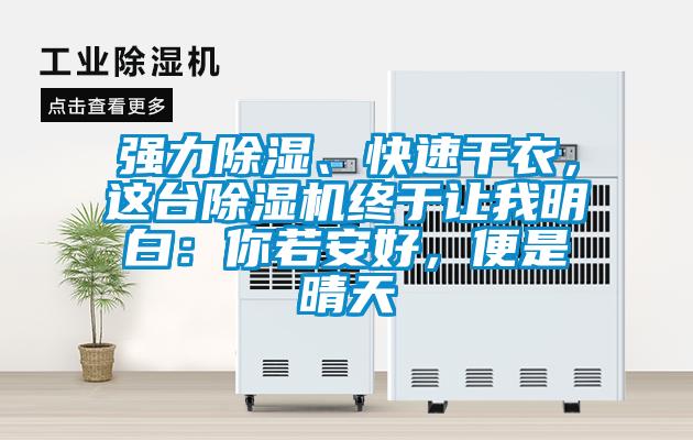 強力除濕、快速干衣，這臺除濕機終于讓我明白：你若安好，便是晴天