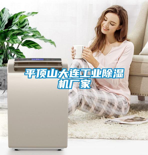 平頂山大連工業除濕機廠家