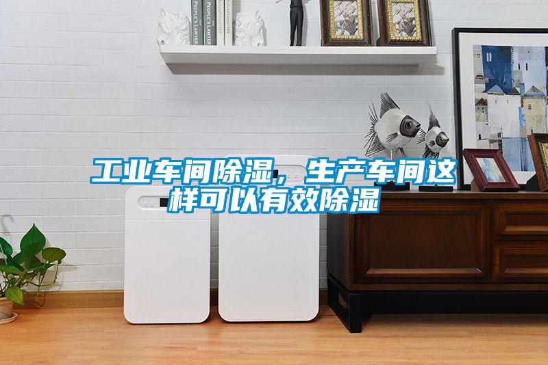 工業車間除濕，生產車間這樣可以有效除濕