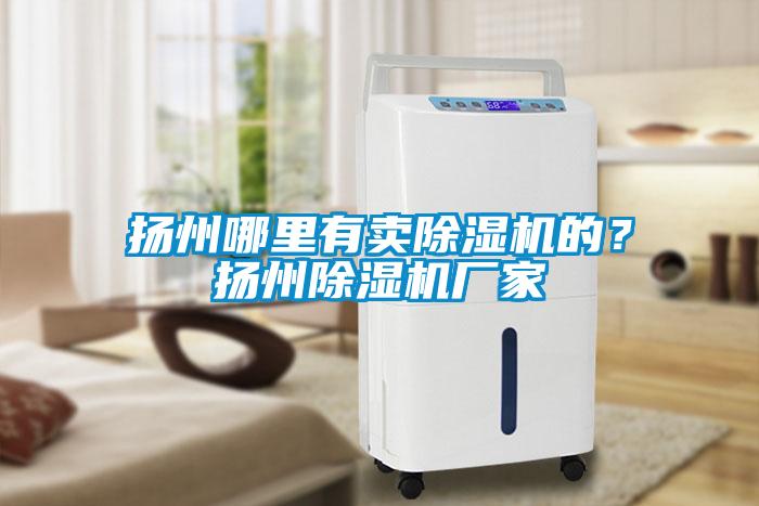 揚州哪里有賣除濕機的？揚州除濕機廠家