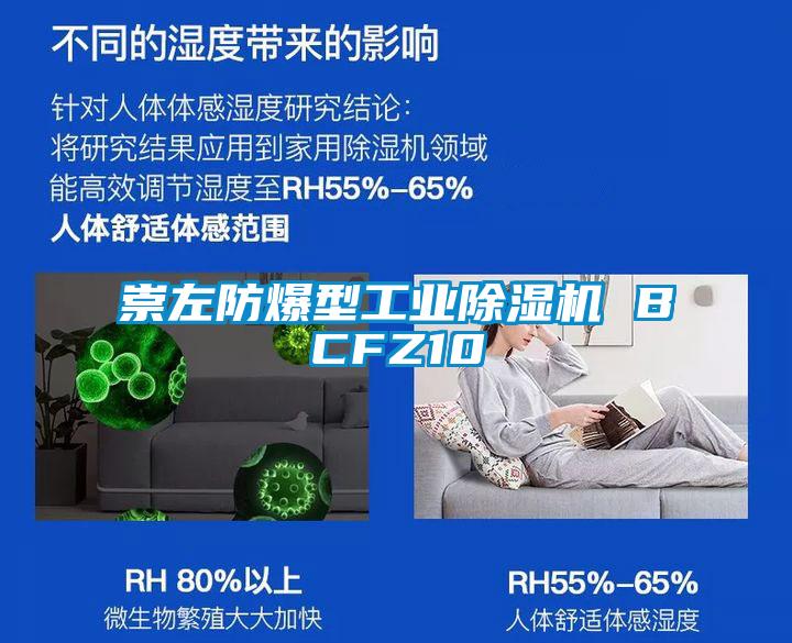 崇左防爆型工業除濕機 BCFZ10