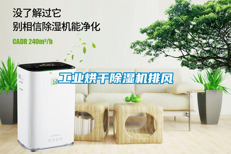 工業烘干除濕機排風