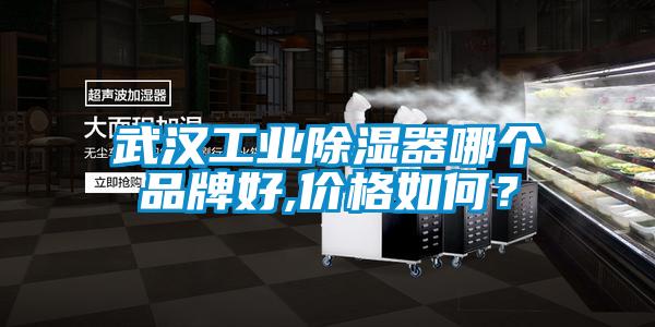 武漢工業除濕器哪個品牌好,價格如何？