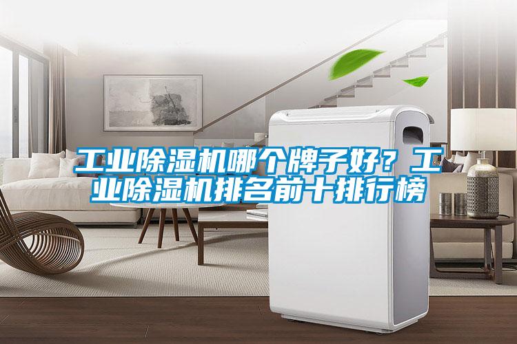 工業除濕機哪個牌子好？工業除濕機排名前十排行榜