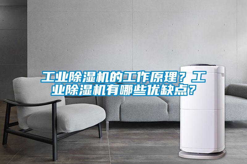工業除濕機的工作原理？工業除濕機有哪些優缺點？