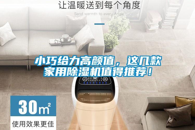 小巧給力高顏值，這幾款家用除濕機值得推薦！