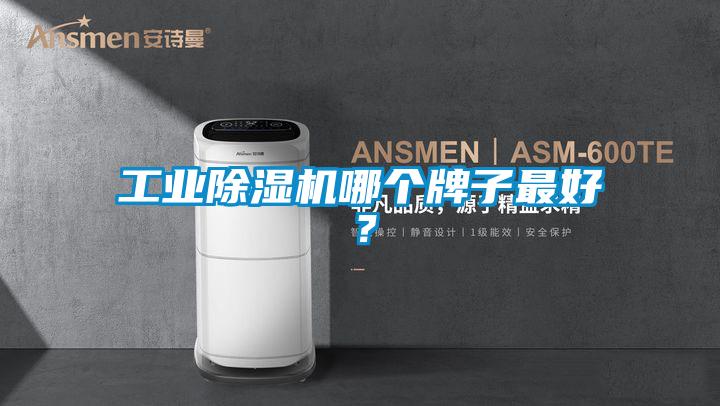 工業除濕機哪個牌子最好？