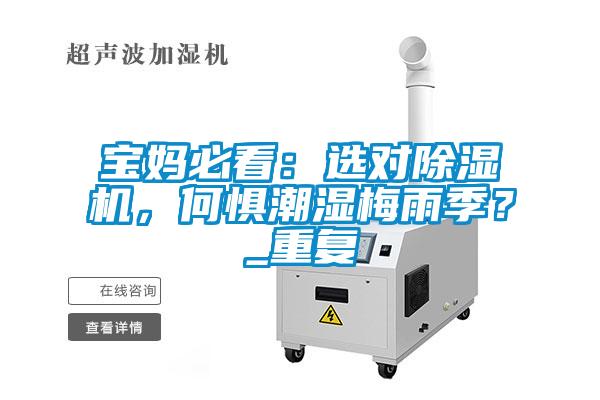寶媽必看：選對除濕機，何懼潮濕梅雨季？_重復