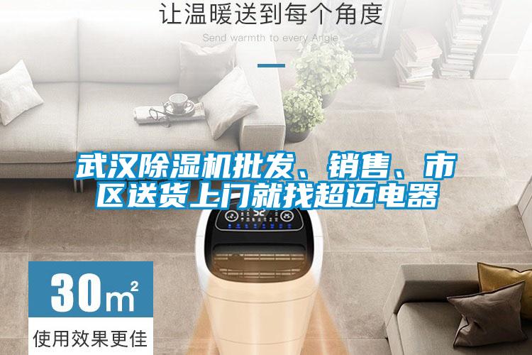 武漢除濕機批發、銷售、市區送貨上門就找超邁電器