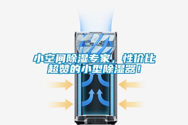 小空間除濕專家，性價比超贊的小型除濕器！