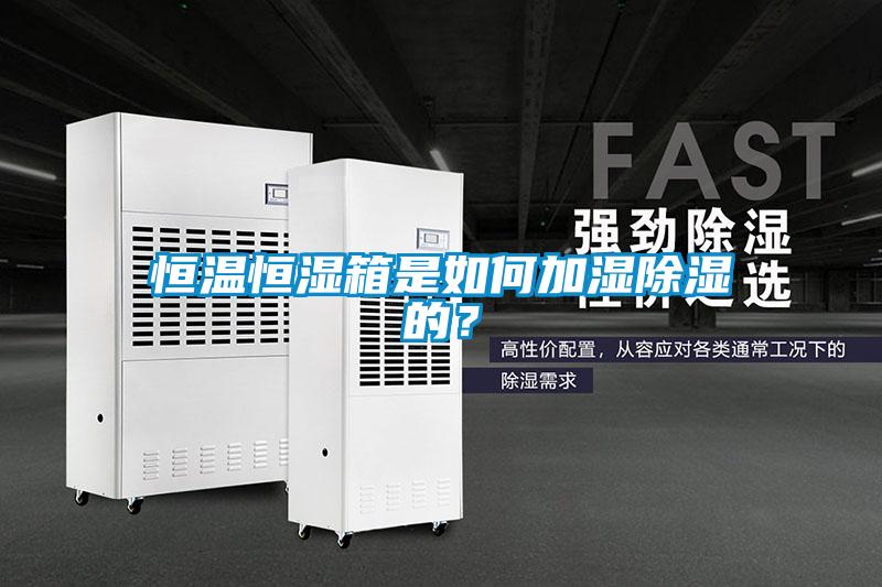 恒溫恒濕箱是如何加濕除濕的？