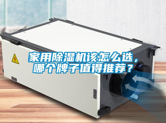 家用除濕機該怎么選，哪個牌子值得推薦？