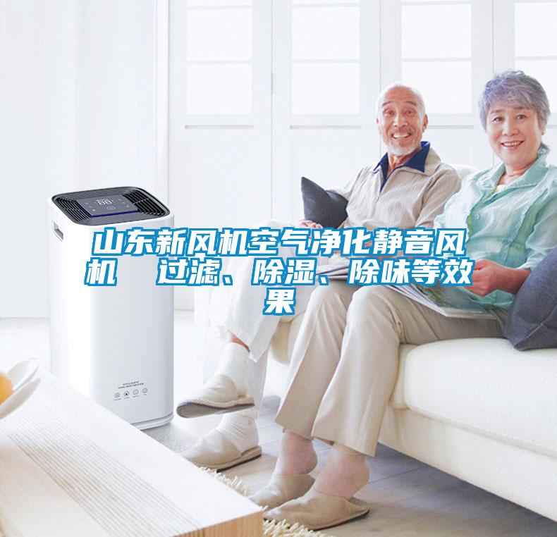 山東新風機空氣凈化靜音風機  過濾、除濕、除味等效果