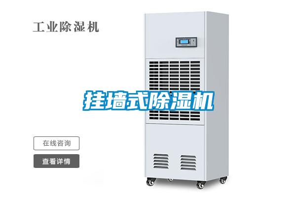掛墻式除濕機