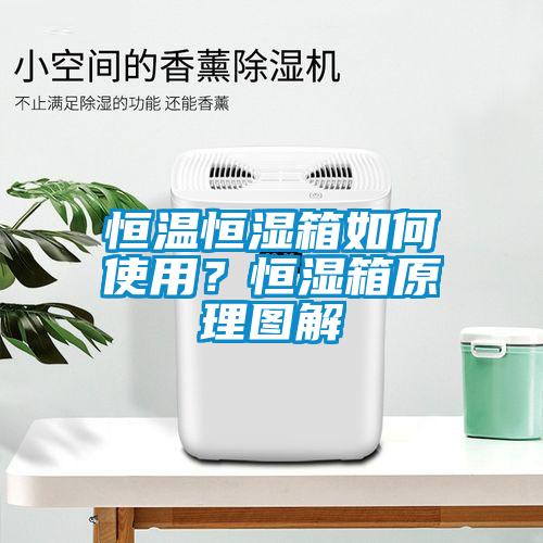 恒溫恒濕箱如何使用？恒濕箱原理圖解
