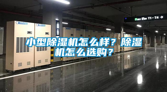 小型除濕機怎么樣？除濕機怎么選購？