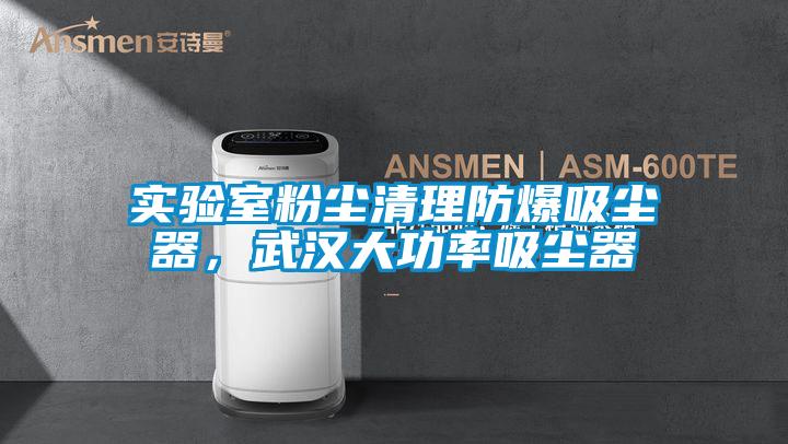 實驗室粉塵清理防爆吸塵器，武漢大功率吸塵器