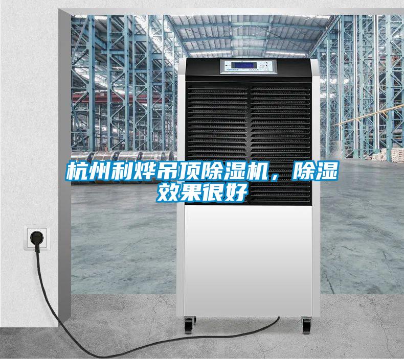 杭州利燁吊頂除濕機，除濕效果很好