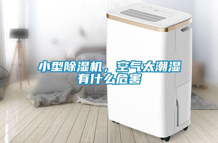 小型除濕機，空氣太潮濕有什么危害