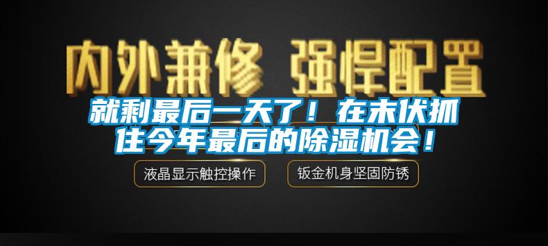 就剩最后一天了！在末伏抓住今年最后的除濕機會！