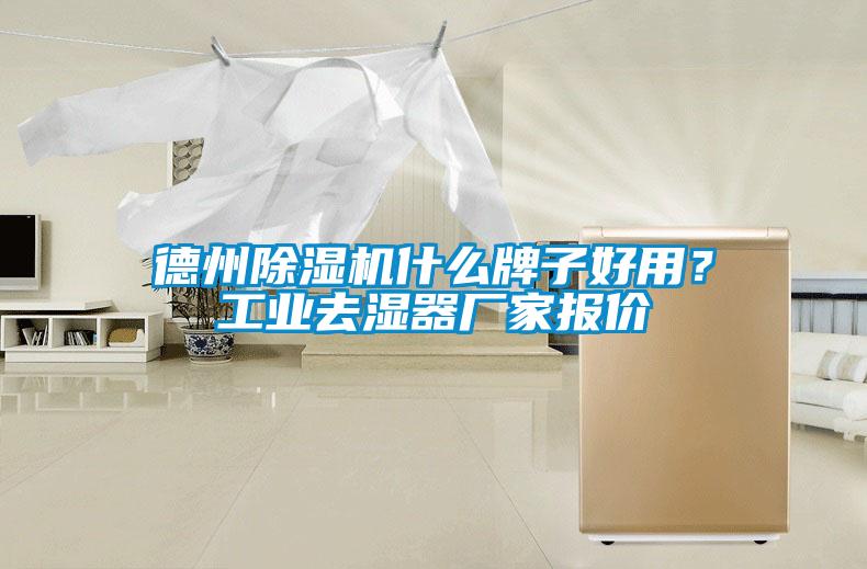德州除濕機什么牌子好用？工業去濕器廠家報價
