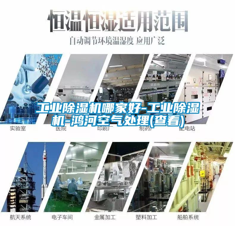 工業除濕機哪家好-工業除濕機-鴻河空氣處理(查看)