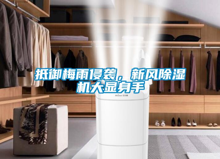 抵御梅雨侵襲，新風除濕機大顯身手