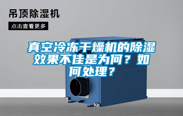 真空冷凍干燥機的除濕效果不佳是為何？如何處理？