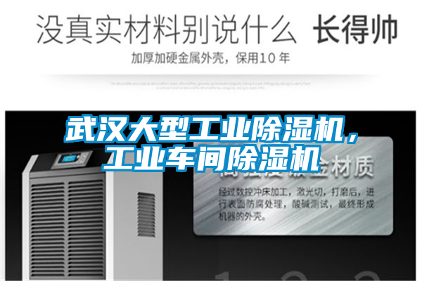 武漢大型工業除濕機，工業車間除濕機