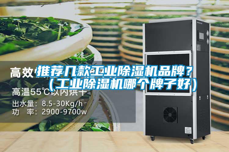 推薦幾款工業除濕機品牌？（工業除濕機哪個牌子好）