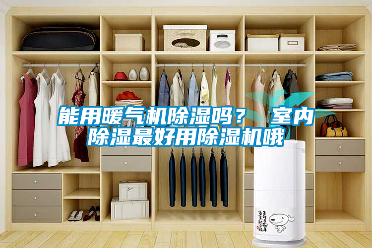 能用暖氣機除濕嗎？ 室內除濕最好用除濕機哦