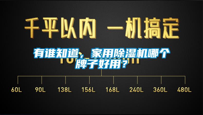 有誰知道，家用除濕機哪個牌子好用？