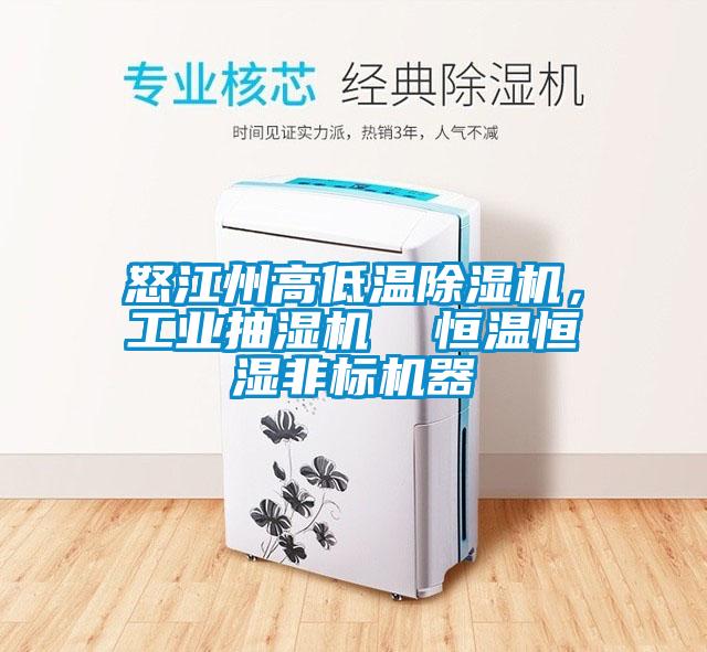 怒江州高低溫除濕機，工業抽濕機  恒溫恒濕非標機器