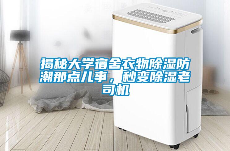 揭秘大學宿舍衣物除濕防潮那點兒事，秒變除濕老司機