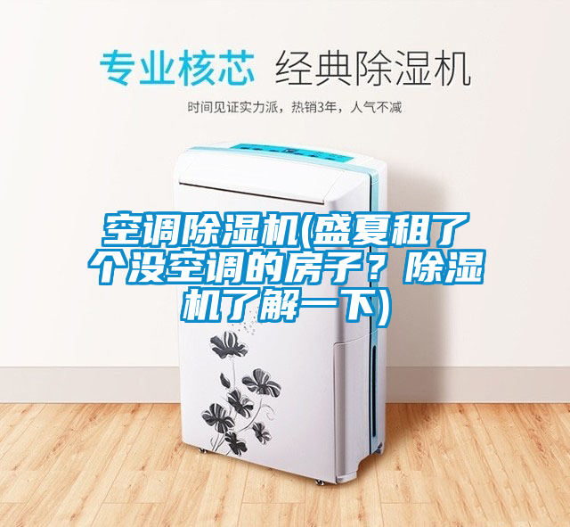 空調除濕機(盛夏租了個沒空調的房子？除濕機了解一下)