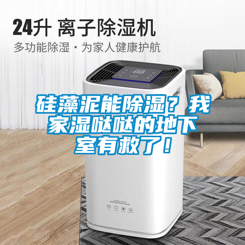 硅藻泥能除濕？我家濕噠噠的地下室有救了！