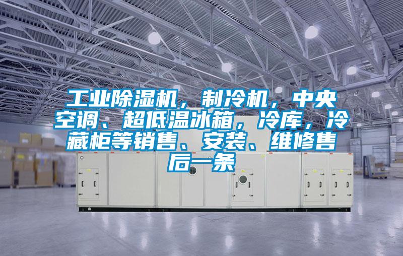 工業除濕機，制冷機，中央空調、超低溫冰箱，冷庫，冷藏柜等銷售、安裝、維修售后一條
