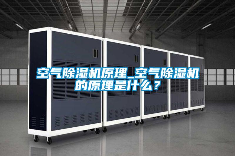 空氣除濕機原理_空氣除濕機的原理是什么？