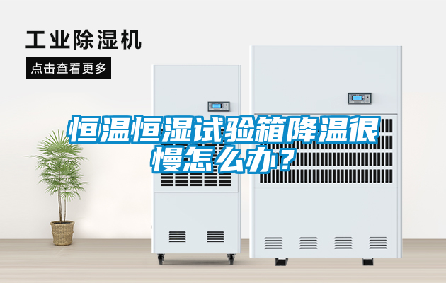 恒溫恒濕試驗箱降溫很慢怎么辦？
