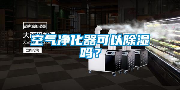 空氣凈化器可以除濕嗎？