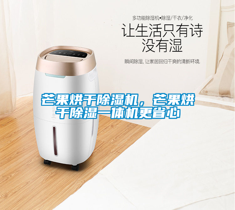 芒果烘干除濕機，芒果烘干除濕一體機更省心