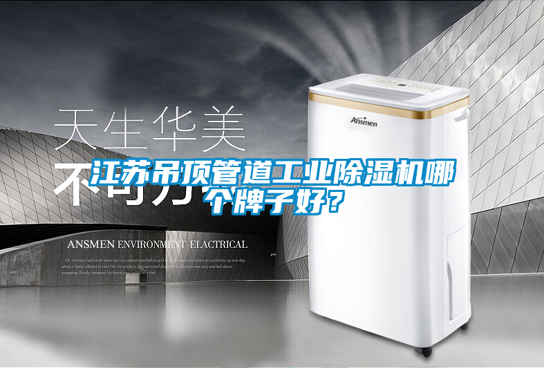 江蘇吊頂管道工業除濕機哪個牌子好？