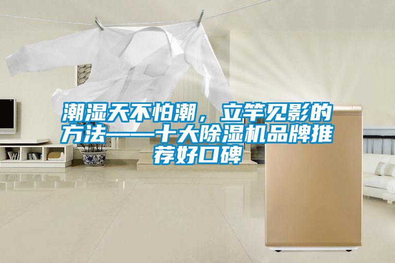 潮濕天不怕潮，立竿見影的方法——十大除濕機品牌推薦好口碑