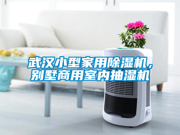 武漢小型家用除濕機，別墅商用室內抽濕機