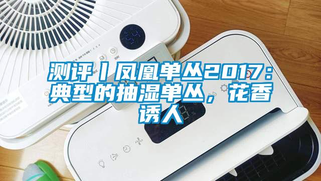 測評丨鳳凰單叢2017：典型的抽濕單叢，花香誘人