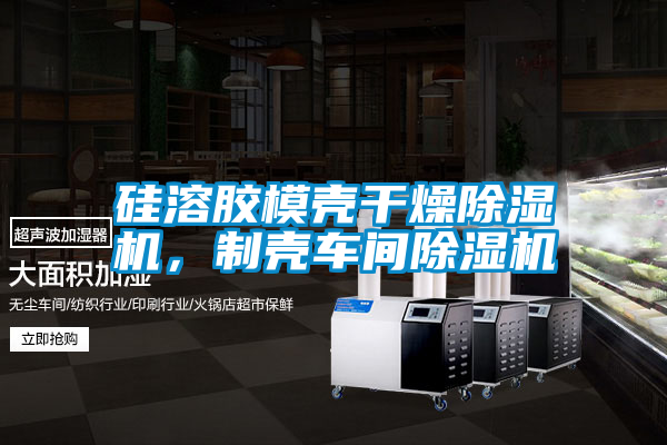 硅溶膠模殼干燥除濕機，制殼車間除濕機