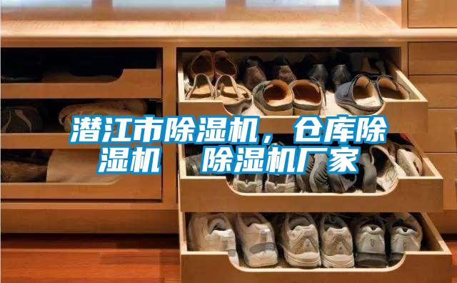 潛江市除濕機，倉庫除濕機  除濕機廠家